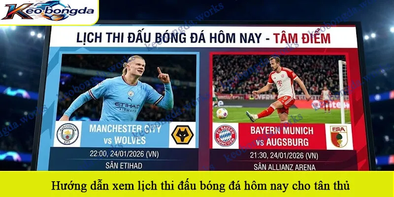 Hướng dẫn xem lịch thi đấu bóng đá hôm nay cho tân thủ