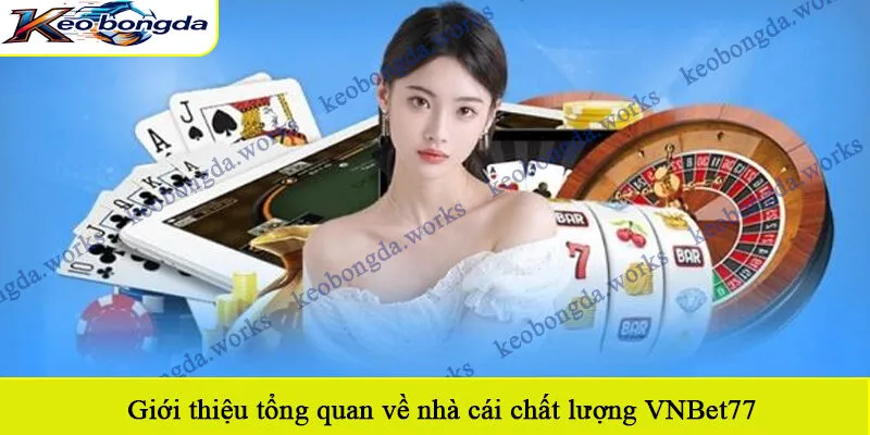 Giới thiệu tổng quan về nhà cái chất lượng VNBet77