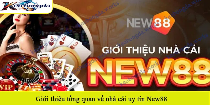 Giới thiệu tổng quan về nhà cái uy tín New88