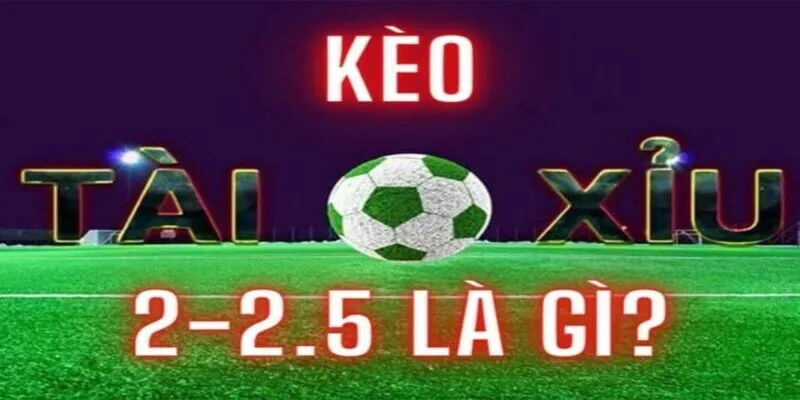 Chiến thuật bắt kèo tài xỉu 2.5 được chuyên gia chia sẻ