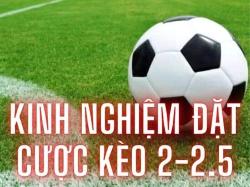 Kinh nghiệm đặt cược kèo 2-2.5 là gì