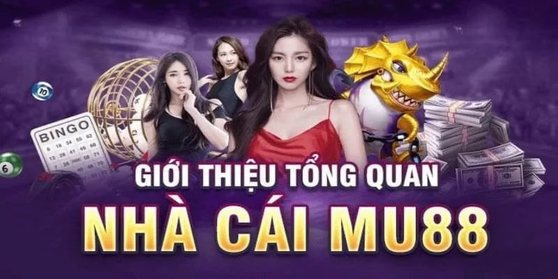 Giới thiệu chung về nhà cái